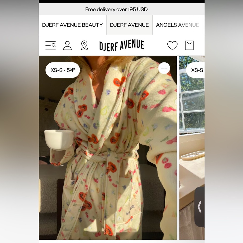 Djerf Avenue Robe - Picture 4 of 4
